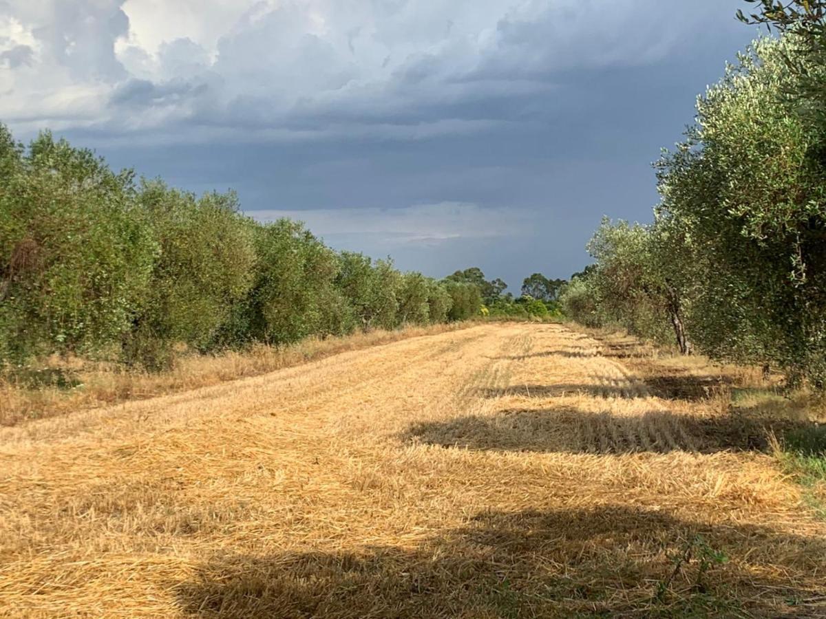 Agriturismo Beveraggio Appartamenti Marina di Grosseto Buitenkant foto